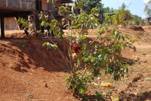 Ett tappert forsøk på å gjemme seg for alle disse rare hvite menneskene.