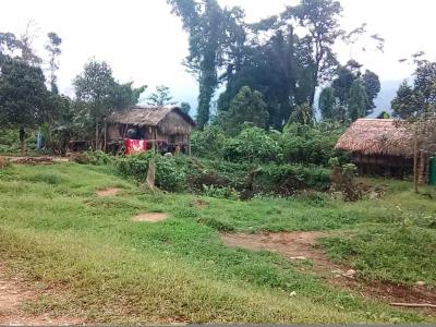 43623071_315093445889258_8955181819192410112_n