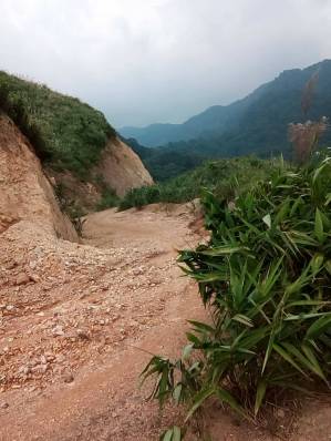 43691166_331324244109704_9006356964409606144_n